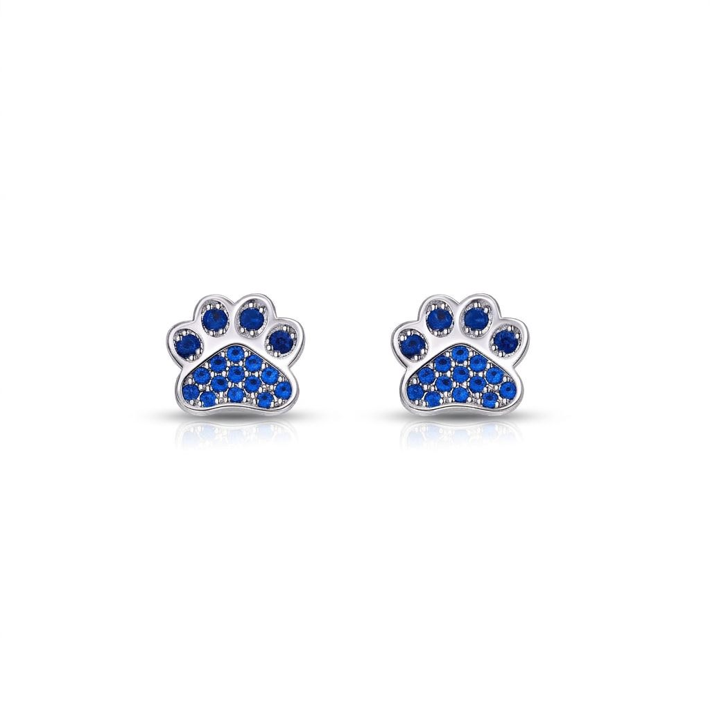 Brincos de patinha azul em fundo branco